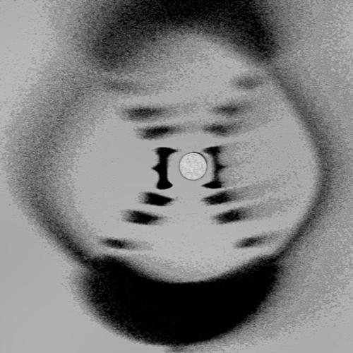 Fake DNA X-ray Diffraction by Rosalind Franklin preview image